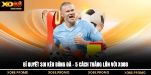 Bí Quyết Soi Kèo Bóng Đá - 5 Cách Thắng Lớn Với XO88